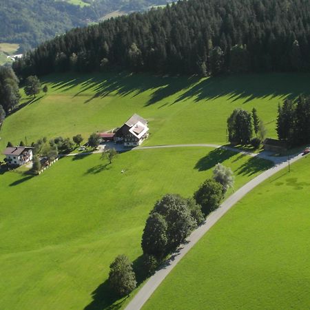 Villa Haslehnerhof à Ramsau am Dachstein Extérieur photo