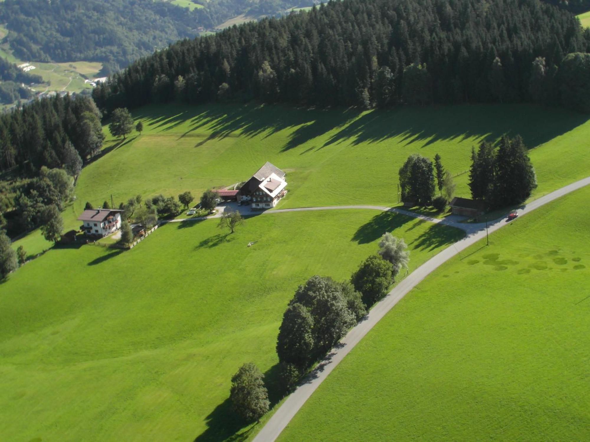Villa Haslehnerhof à Ramsau am Dachstein Extérieur photo