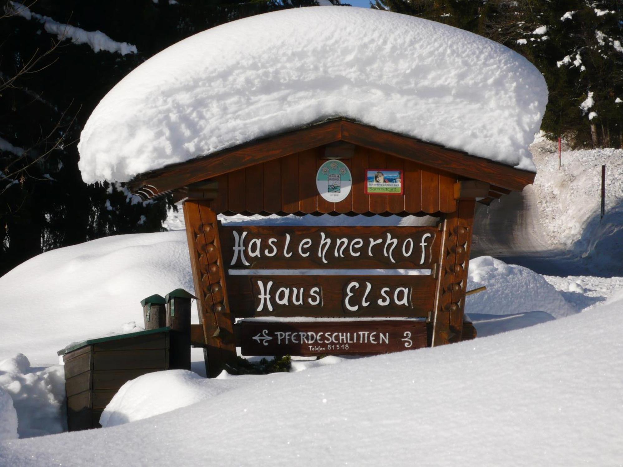 Villa Haslehnerhof à Ramsau am Dachstein Extérieur photo