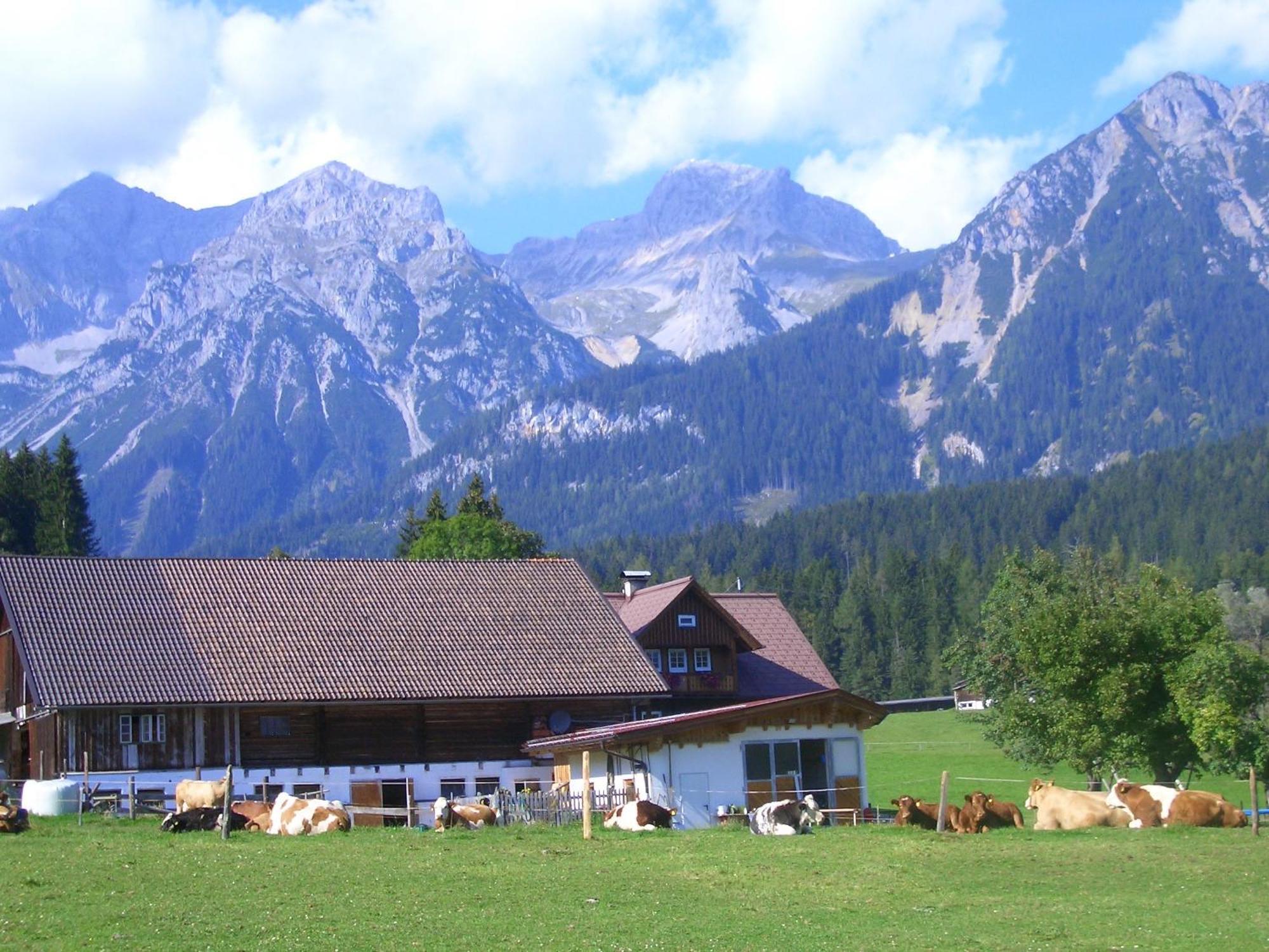 Villa Haslehnerhof à Ramsau am Dachstein Extérieur photo