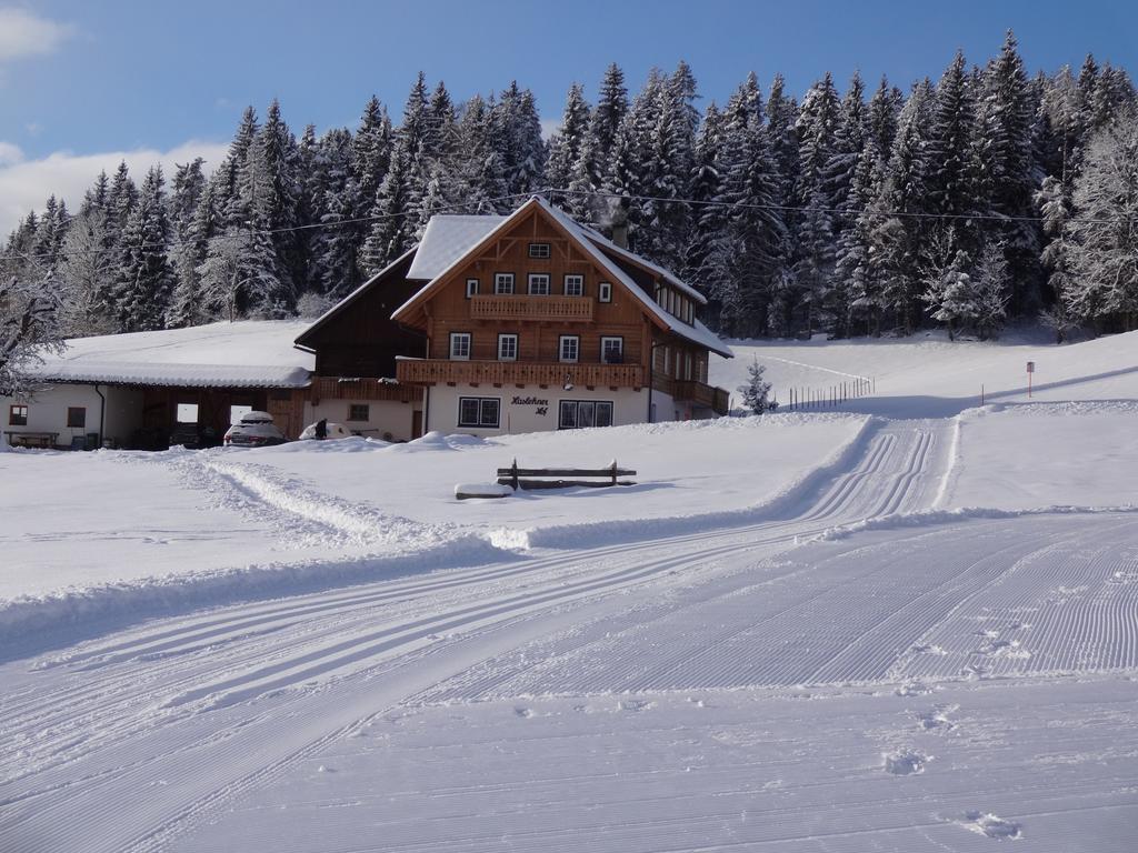 Villa Haslehnerhof à Ramsau am Dachstein Extérieur photo